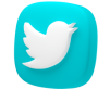 Buy Twitter followers India panel